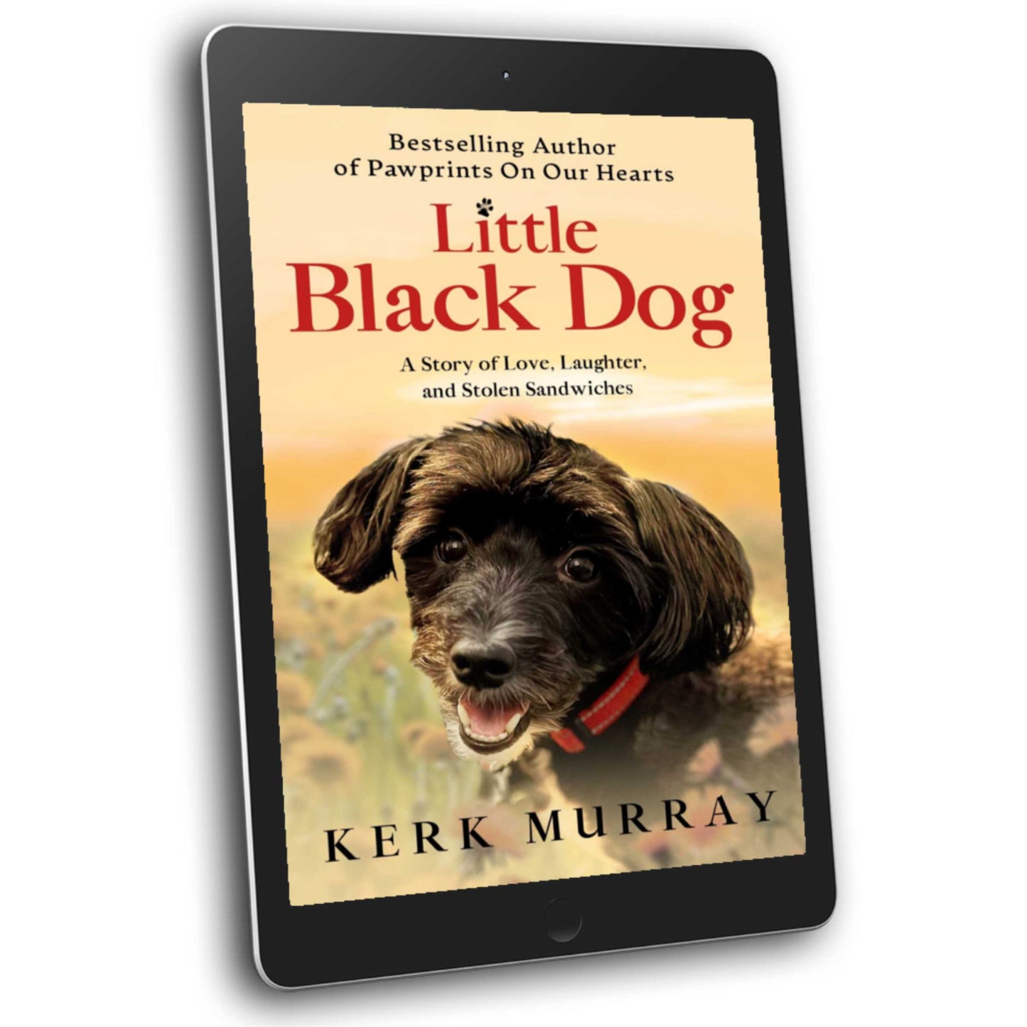 Little Black Dog: A Story of Love, Laughter, and Stolen Sandwiches (PRE-ORDER)